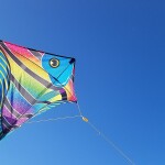 colorful kite